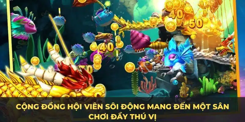 Cộng đồng hội viên sôi động mang đến một sân chơi đầy thú vị