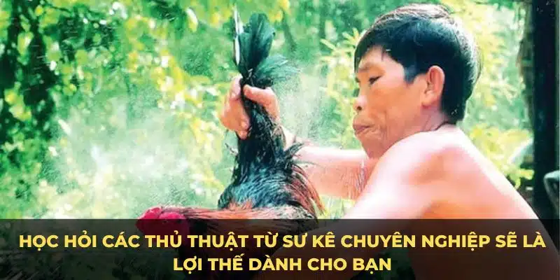 Học hỏi các thủ thuật từ sư kê chuyên nghiệp sẽ là lợi thế dành cho bạn