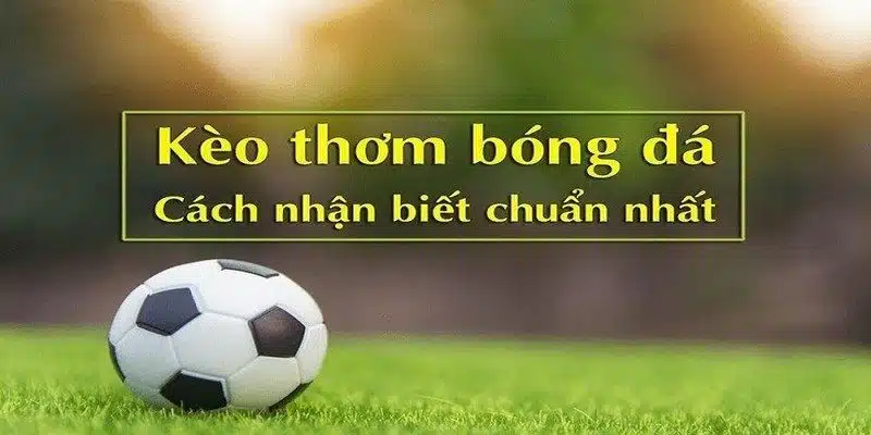 Cách thức nhận biết kèo thức chuẩn xác nhất